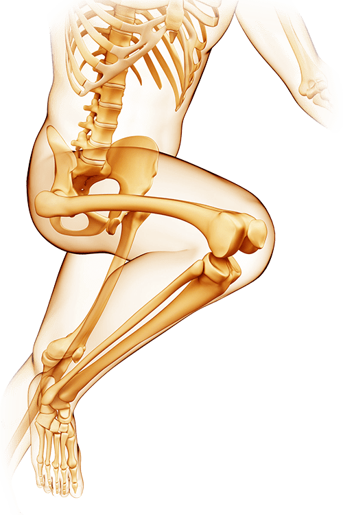 Pelvic and Complex Trauma